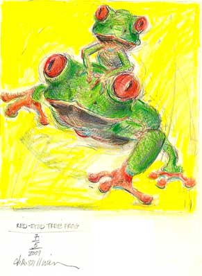 Frog Dennis Sullivan
